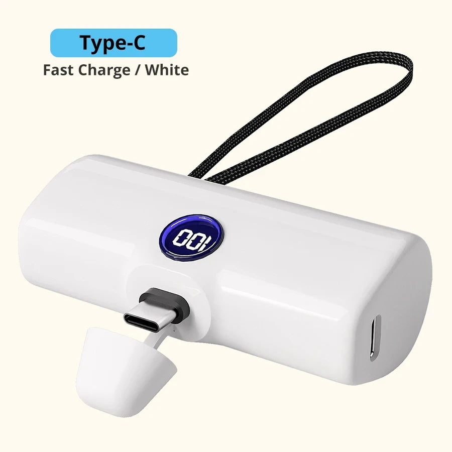 Compact Portable Fast Charger