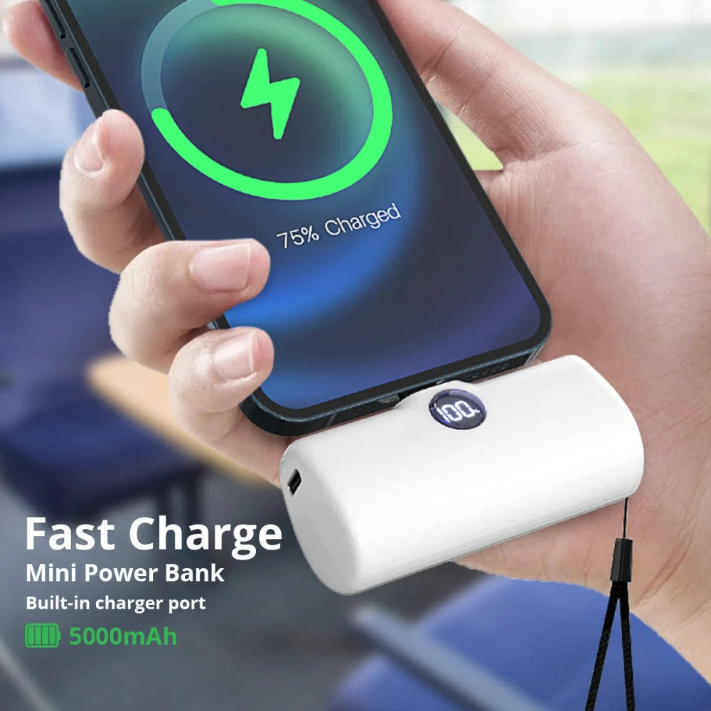 Compact Portable Fast Charger