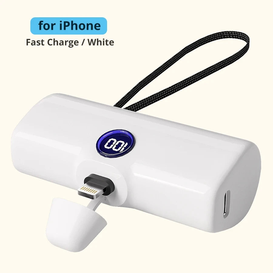 Compact Portable Fast Charger